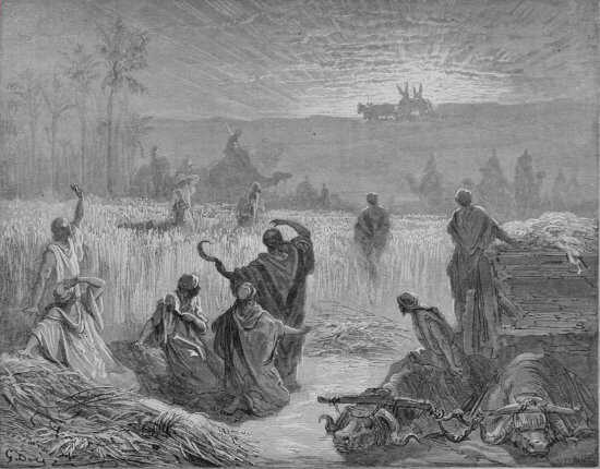 1 Samuel 6, 11-16 : Retour de l'arche - Gravure de Gustave Doré