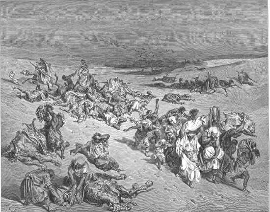 Exode 9, 1-7 : Plaie de la peste - Gravure de Gustave Doré