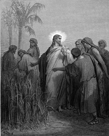 Marc 2, 26 : Les apôtres cueillant des épis le jour du sabbat - Gravure de Gustave Doré